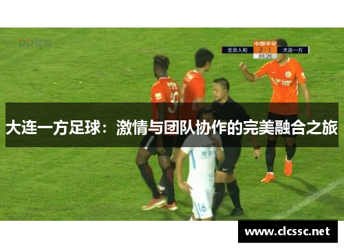 大连一方足球:激情与团队协作的完美融合之旅 大连一方足球:激情与团队协作的完美融合之旅