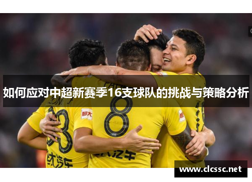 如何应对中超新赛季16支球队的挑战与策略分析